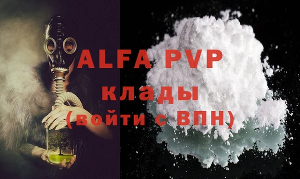 сатива Строитель