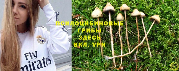 PSILOCYBIN Тавда