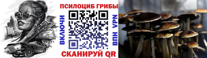 наркота  Гулькевичи  кракен   Псилоцибиновые грибы мицелий 